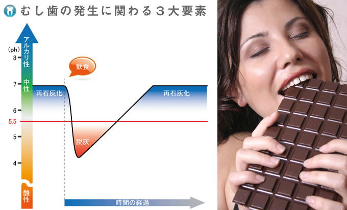 飲食によるPH値の変化